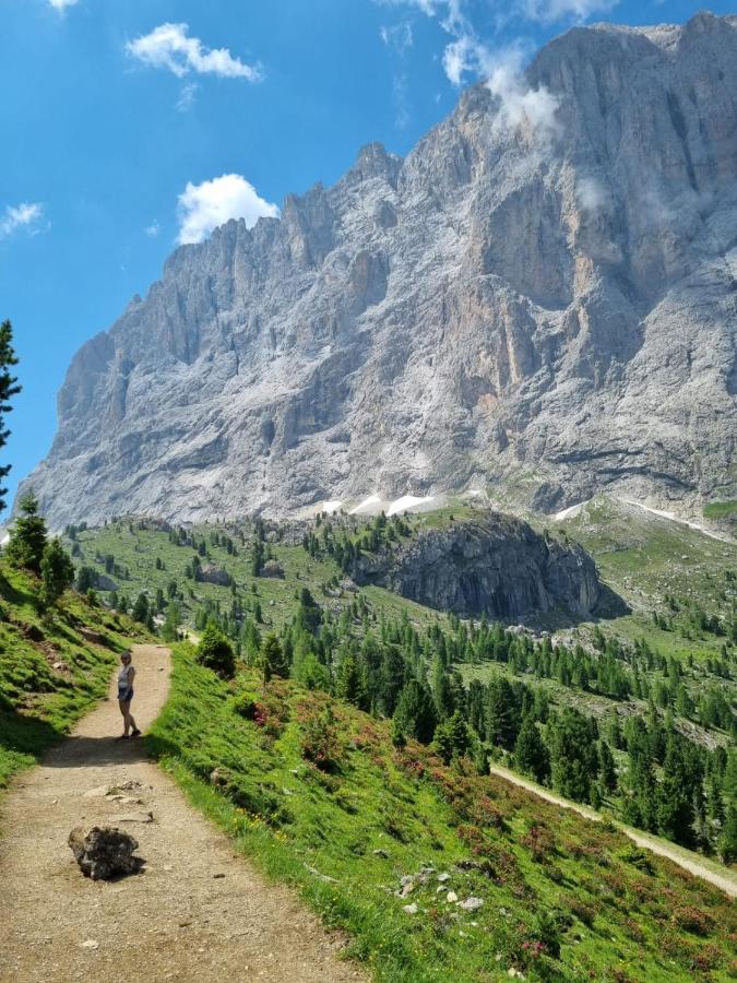 Apartamento Neve E Sole Selva di Val Gardena Exterior foto