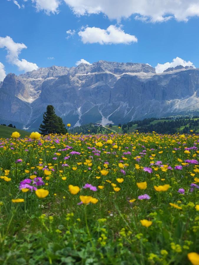 Apartamento Neve E Sole Selva di Val Gardena Exterior foto